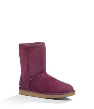 KID's Classic Short Violet 5251